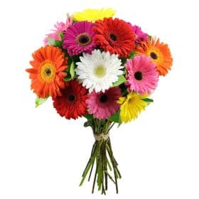 thumb-buque-com-12-gerberas-mistas-0