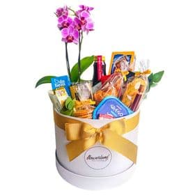 thumb-box-cafe-premium-com-orquidea-0