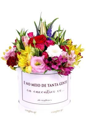 thumb-box-media-flores-nobre-do-campo-0